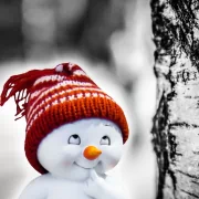 smile snowman artistic PFP