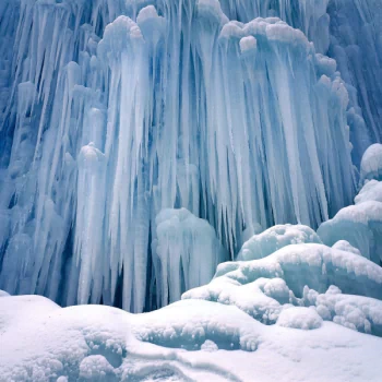 nature winter PFP