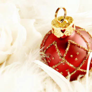  White Rose and Christmas Ornament