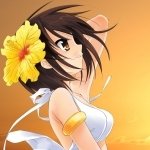 Download Anime The Melancholy Of Haruhi Suzumiya PFP