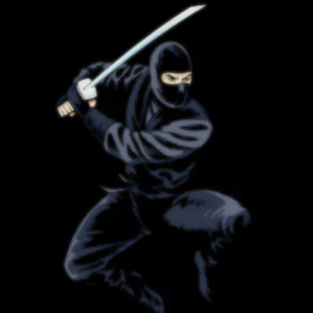 ninja funny PFP