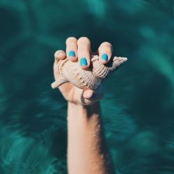 Hand with sea shell by Biel Morro