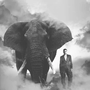 elephant smoke model manipulation photography PFP