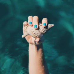  Hand with sea shell by Biel Morro