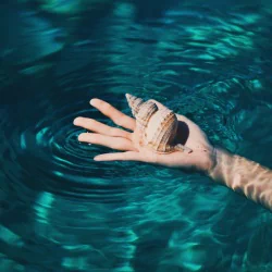  Hand with sea shell by Biel Morro