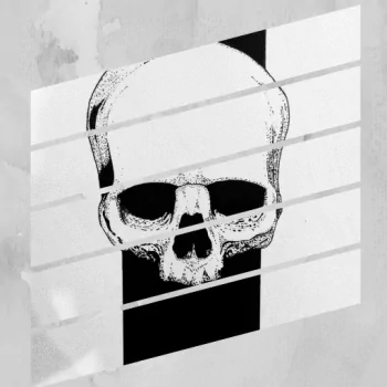 skull dark PFP