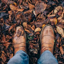  Leaf fall by Clem Onojeghuo