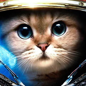 Forum avatar/profile photo: close-up of an animal — a wide-eyed cat in a reflective space helmet with blue highlights.