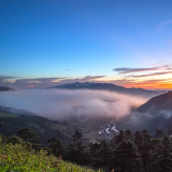 hill fog valley nature PFP