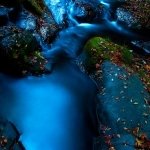 Download Nature Stream PFP