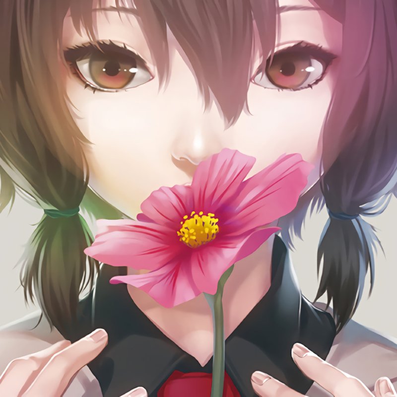 Download Brown Eyes Brown Hair Flower Anime Girl Anime Girl PFP