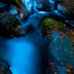 nature stream PFP