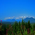  Vancouver Island near Tofino