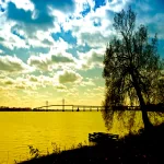 nature river PFP