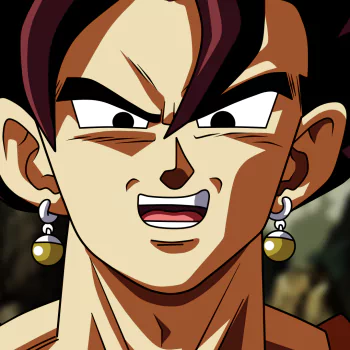 Vegitto