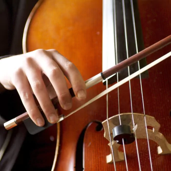 music cello PFP