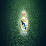 soccer Sports PFP