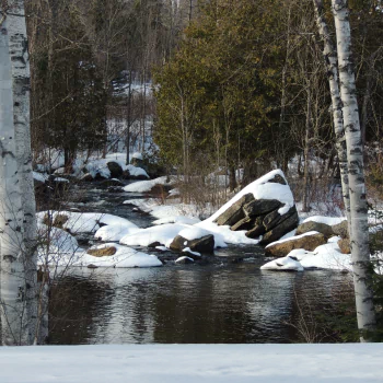  Winter At Crooked Slide Park