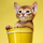 cute cat