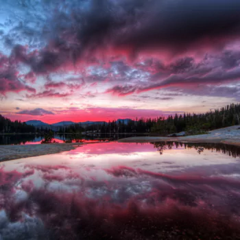 nature reflection PFP