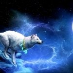 A fantasy animal resembling a white wolf adorned with a colorful necklace, set against a cosmic, starry background, used as a forum profile avatar.