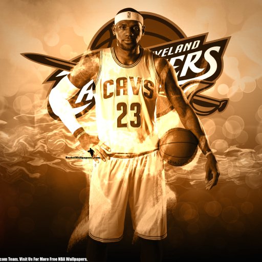 Download LeBron James Sports PFP