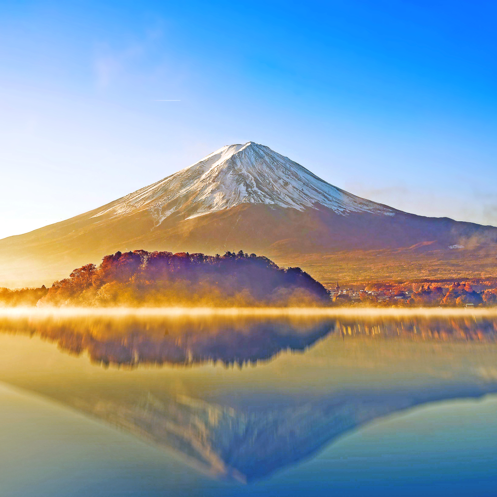 Mount Fuji Pfp