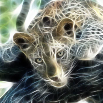 Animal leopard PFP