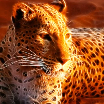 Animal leopard PFP