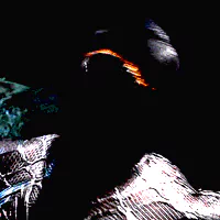 movie Venom Spider-Man 3 PFP
