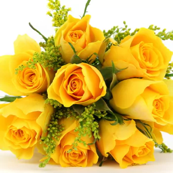 yellow rose yellow flower bouquet flower nature rose PFP