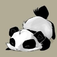panda roblox avatarTikTok Search