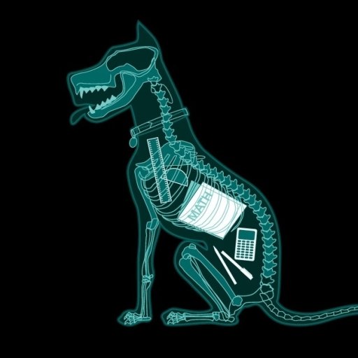 Download Dog Humor Funny Animal PFP