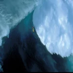 surfing Sports PFP