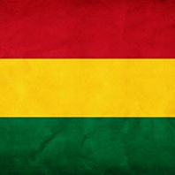 Flag of Bolivia Pfp