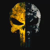 skull Punisher Comic PFP