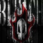 Bleach anime pfp: distressed black wood background with bold BLEACH lettering and a red-and-white stylized hollow mask emblem.