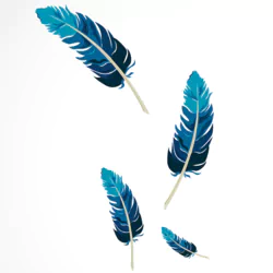  Four Blue Gradient Feathers by Yuri_B