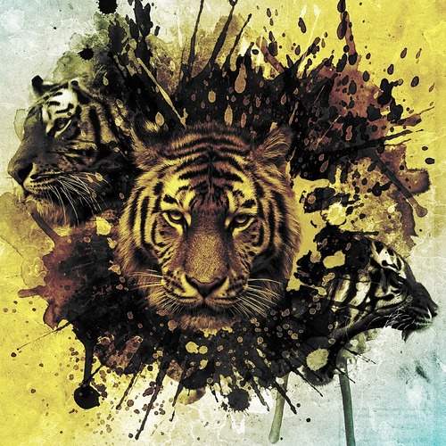 Paint Splash Collage of Tigers by sandrobellwald