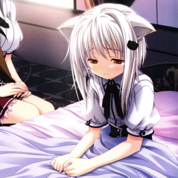 Koneko Toujou Anime High School DxD PFP