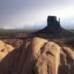 Download Nature Desert PFP