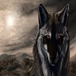 Download Animal Wolf PFP