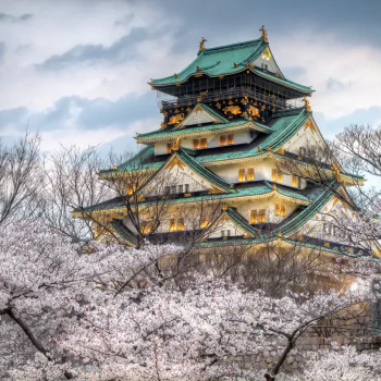 Osaka Osaka Castle Japan sakura spring architecture man made PFP
