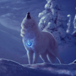 Wolf on Full Moon Winter Night by Anne Wipf