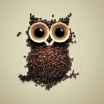 Forum avatar/profile photo of an owl formed from coffee beans, using two espresso cups with crema as its eyes.