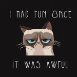 Download Funny Cat PFP