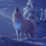  Wolf on Full Moon Winter Night by Anne Wipf