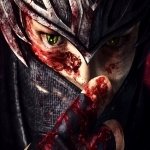 Download Video Game Ninja Gaiden PFP
