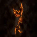  fire phoenix