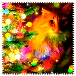 Brightly lit Christmas tree next to an orange cat, serving as a colorful and festive animal-themed forum avatar.
